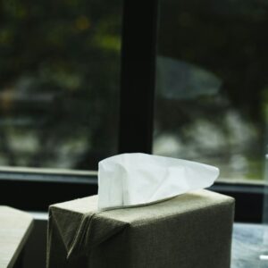 Tissue Box Holder Luxury Design Car Office and Home