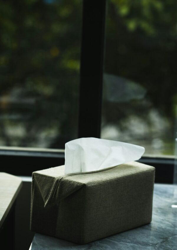 Tissue Box Holder Luxury Design Car Office and Home